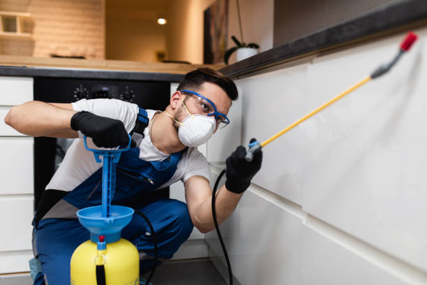 Best Wasp Removal Services  in Star City, WV