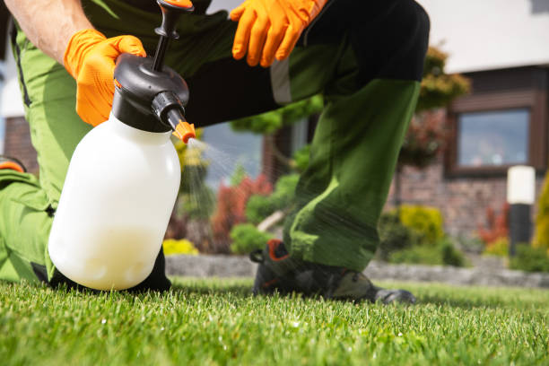 Best Wildlife Control Services  in Star City, WV