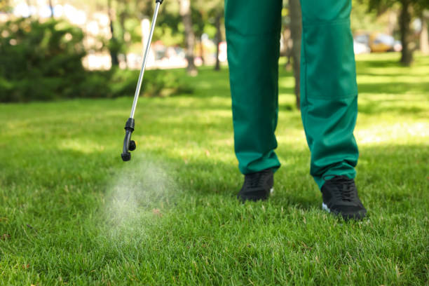 Best Termite Control Services  in Star City, WV
