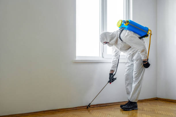 Best Pest Removal Services  in Star City, WV