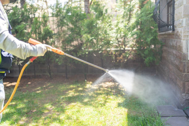 Best Local Pest Control Services  in Star City, WV